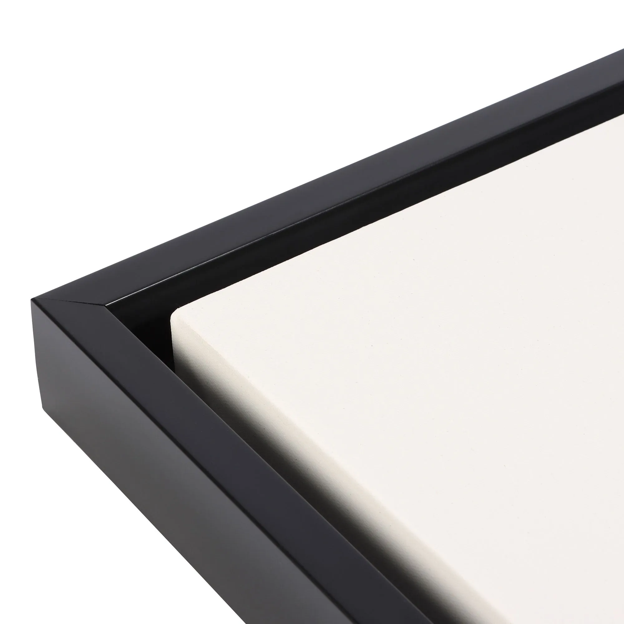 Recyclo™ Eco-Friendly Floating Frame - Gallery